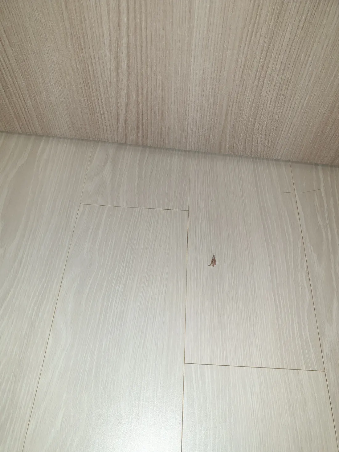 용인 원목마루복원 시공 사례 — 원목마루복원
