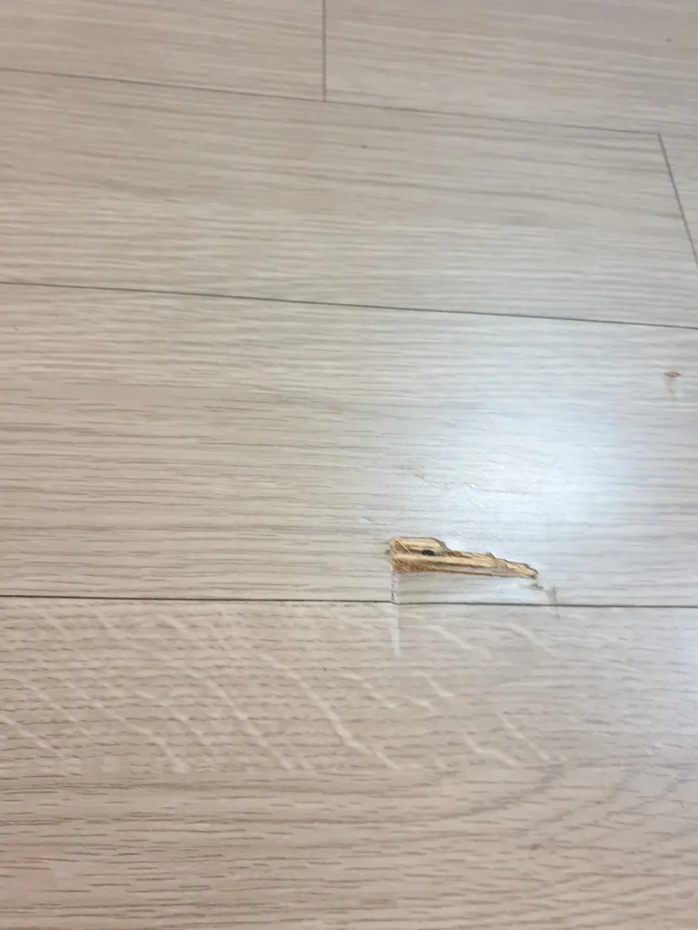 용인 원목마루복원 찍힘 시공 전